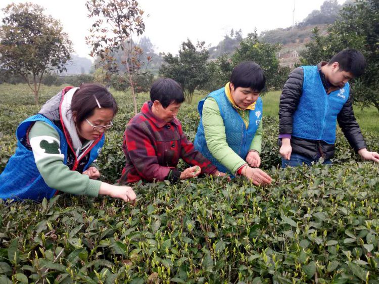 微信图片_20170402183837_jpg