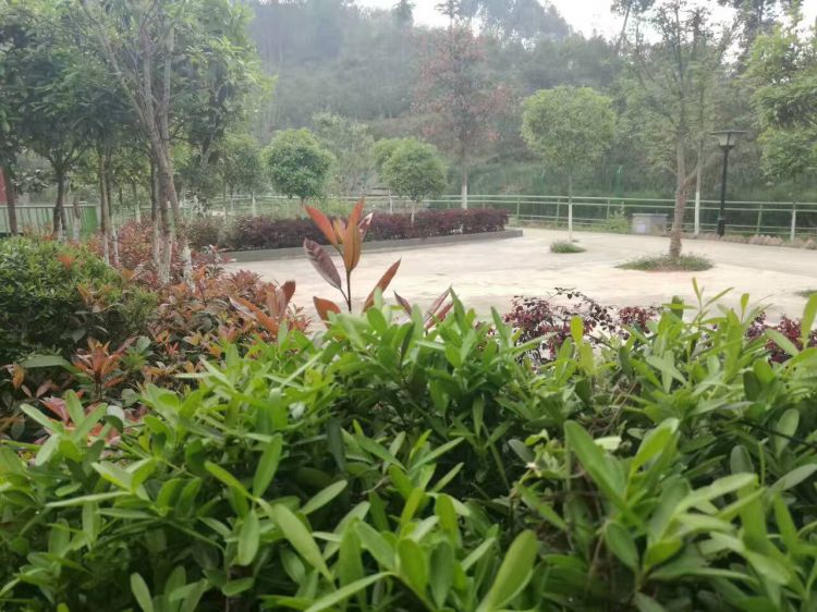 QQ图片20170409152851_jpg