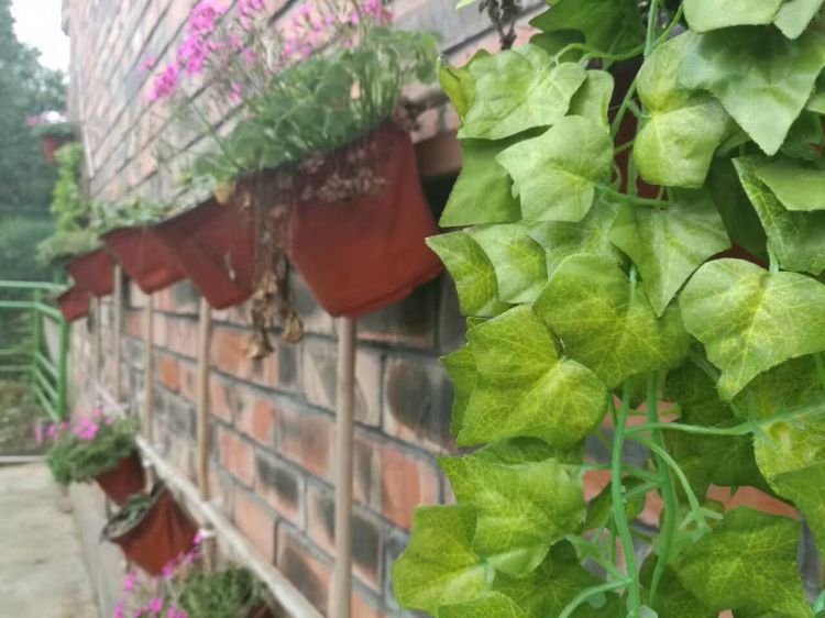 QQ图片20170409152902_jpg