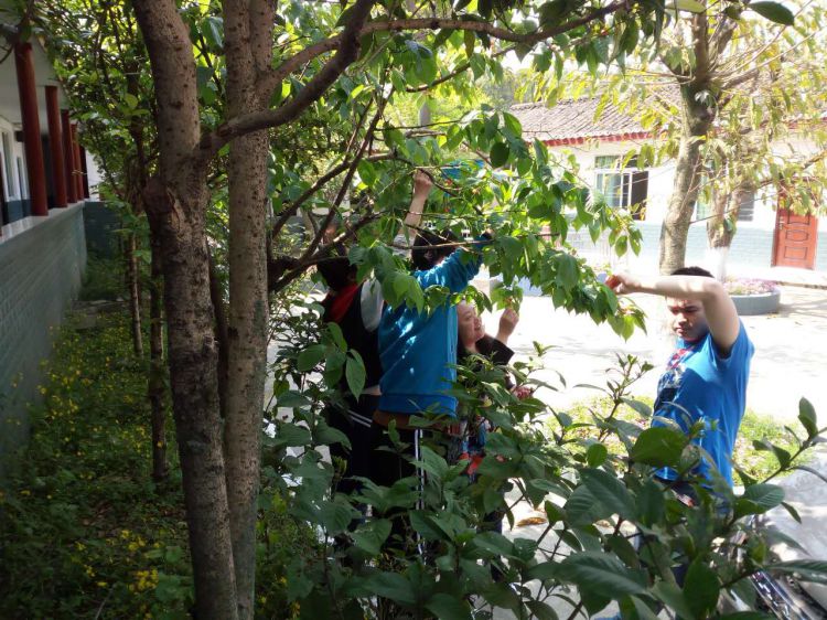 微信图片_20170415140554_jpg