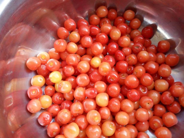 微信图片_20170415140448_jpg