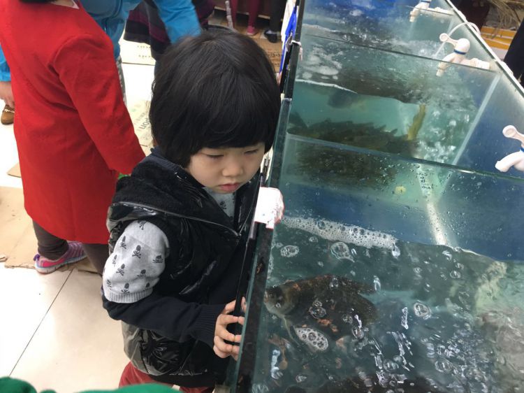 微信图片_20170415141534_jpg