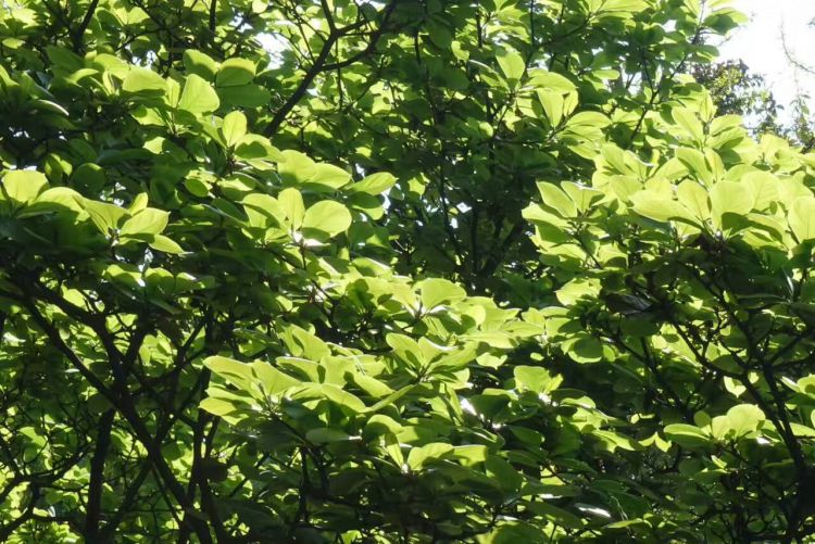 QQ图片20170415153803_jpg