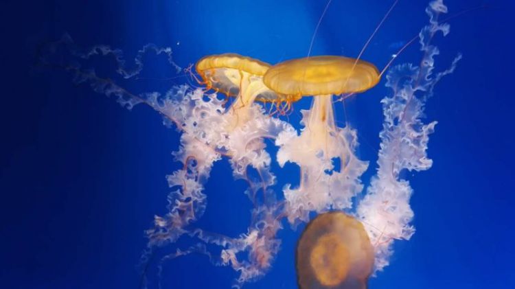 QQ图片20170423204944_jpg