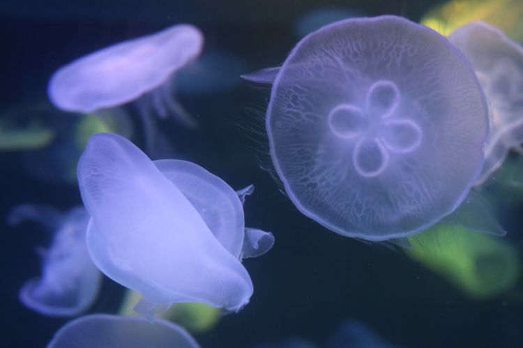 微信图片_20170423210439_jpg