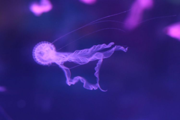 微信图片_20170423210443_jpg