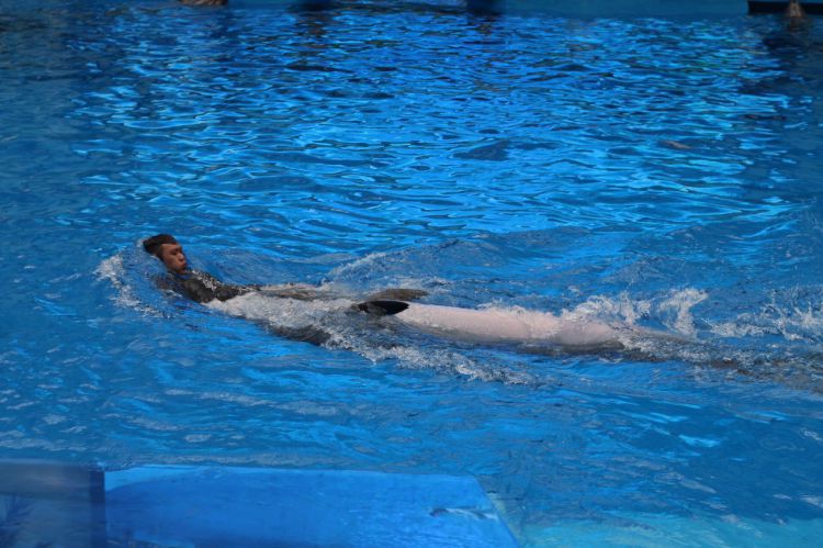 微信图片_20170423210155_jpg