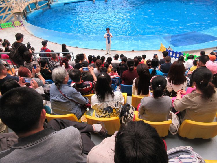 IMG_0725_爱奇艺_jpg