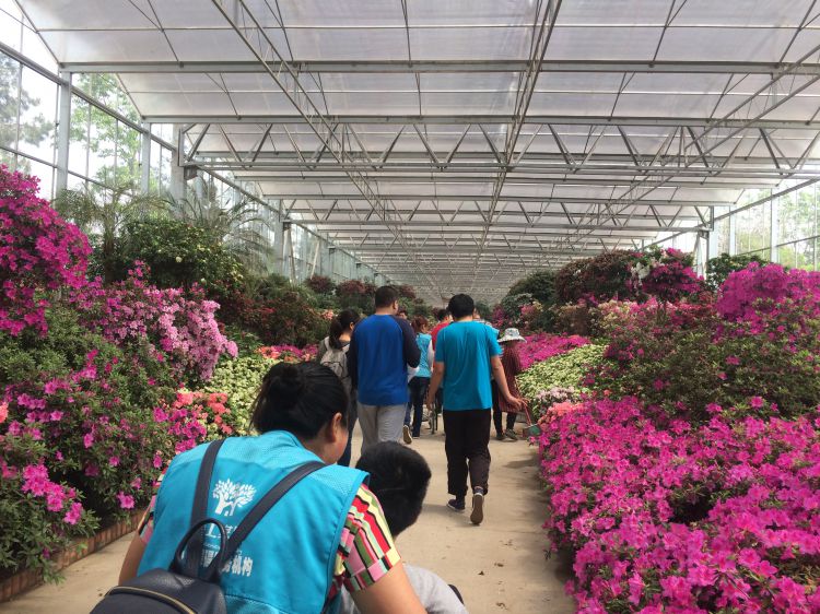 微信图片_20170423103223_jpg