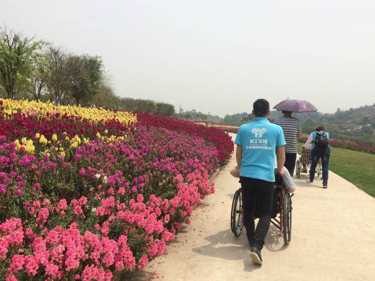 微信图片_20170423103304_jpg