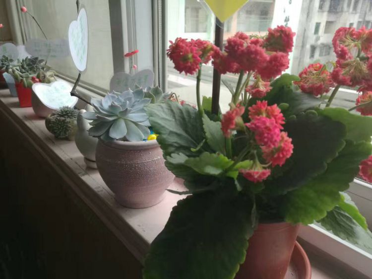 QQ图片20170506232641_jpg