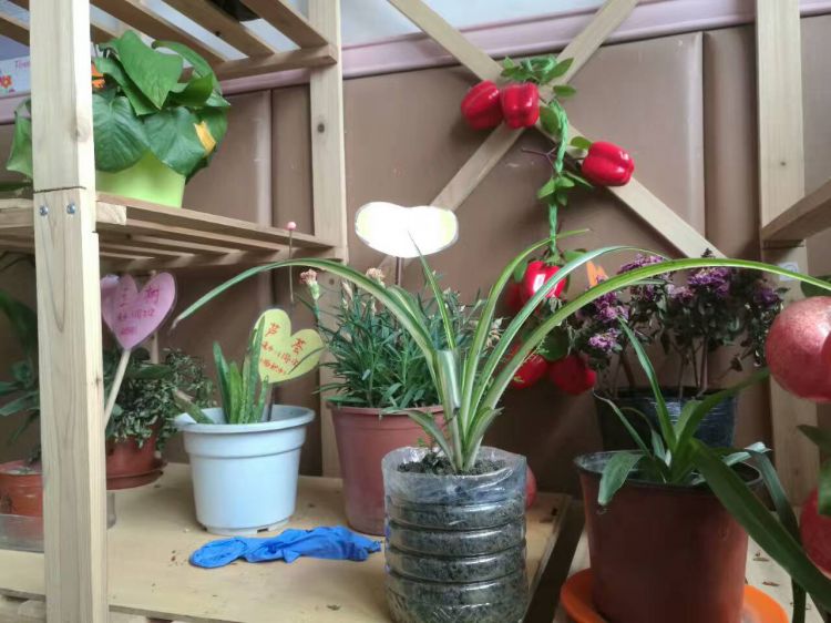 QQ图片20170506232653_jpg