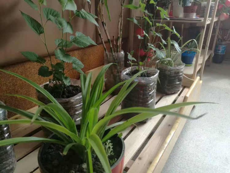 QQ图片20170506232701_jpg