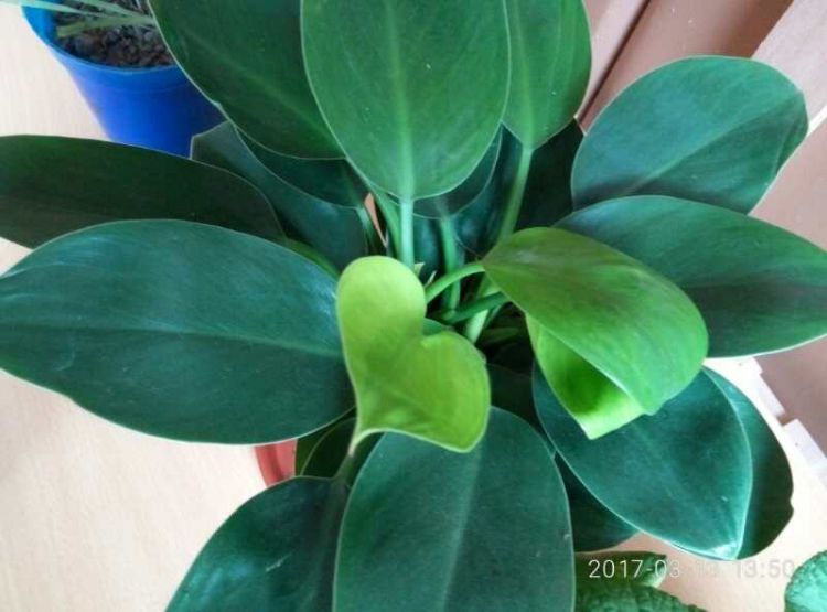 QQ图片20170506232730_jpg