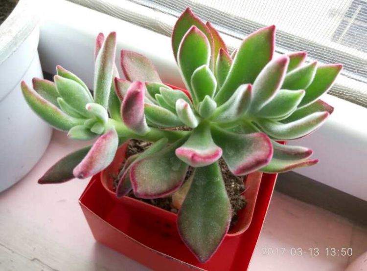 QQ图片20170506232742_jpg