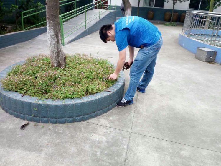 QQ图片20170507200002_jpg