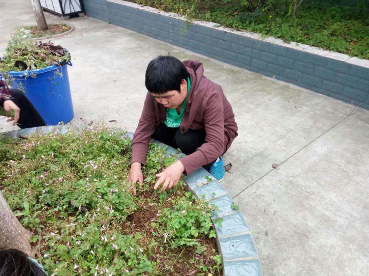 QQ图片20170507200008_jpg