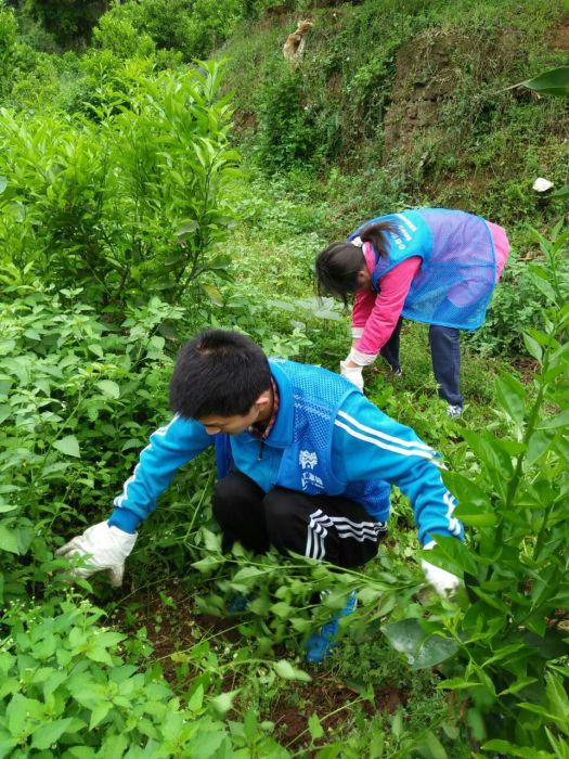 QQ图片20170507013938_jpg
