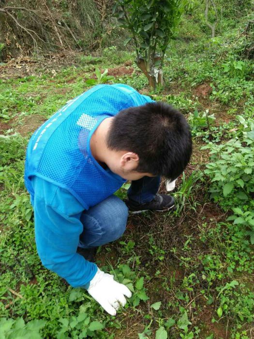 QQ图片20170507013945_jpg