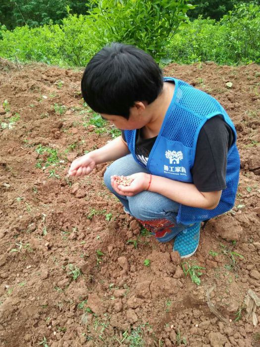 QQ图片20170507014024_jpg