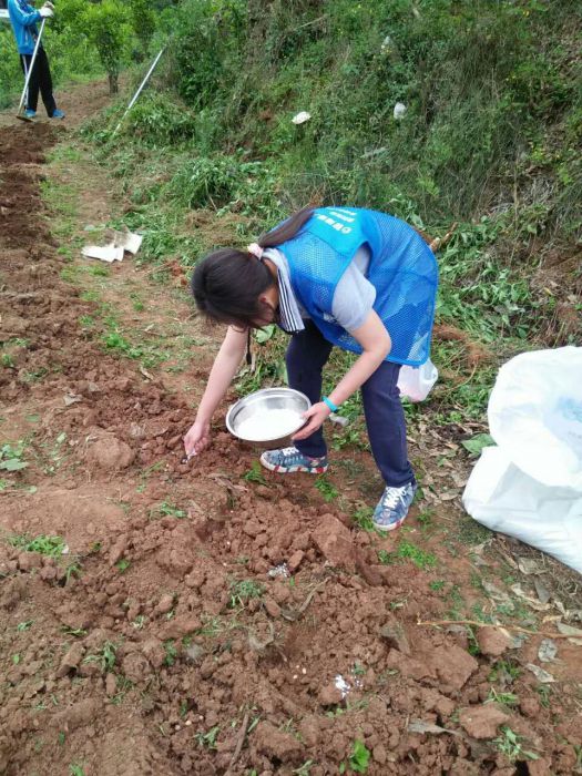 QQ图片20170507014039_jpg