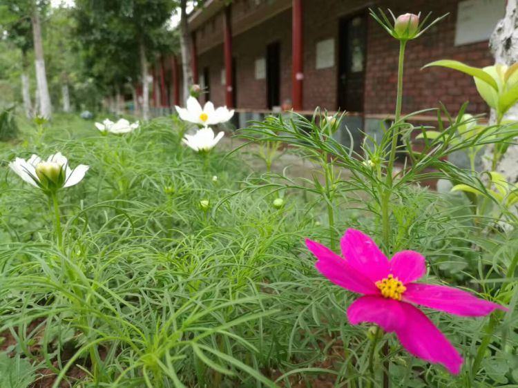 QQ图片20170603134732_jpg