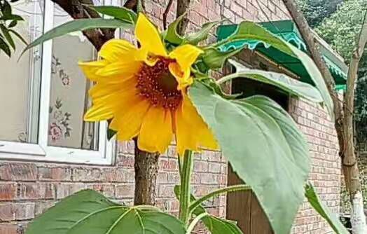 QQ图片20170603134727_jpg