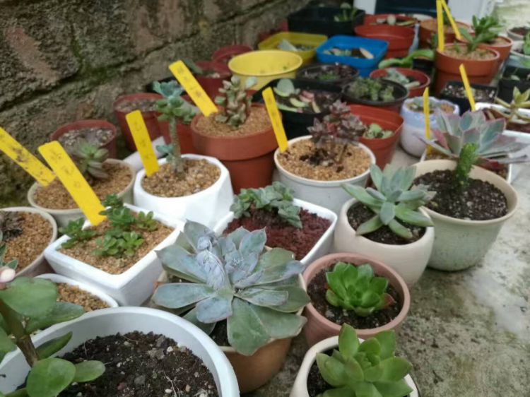 QQ图片20170530131722_jpg