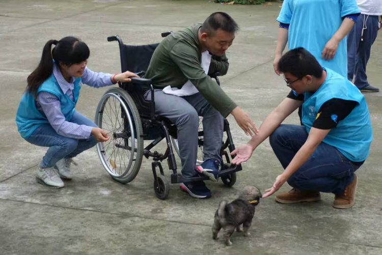 QQ图片20170530131149_jpg