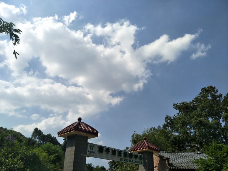 QQ图片20170610231818_jpg