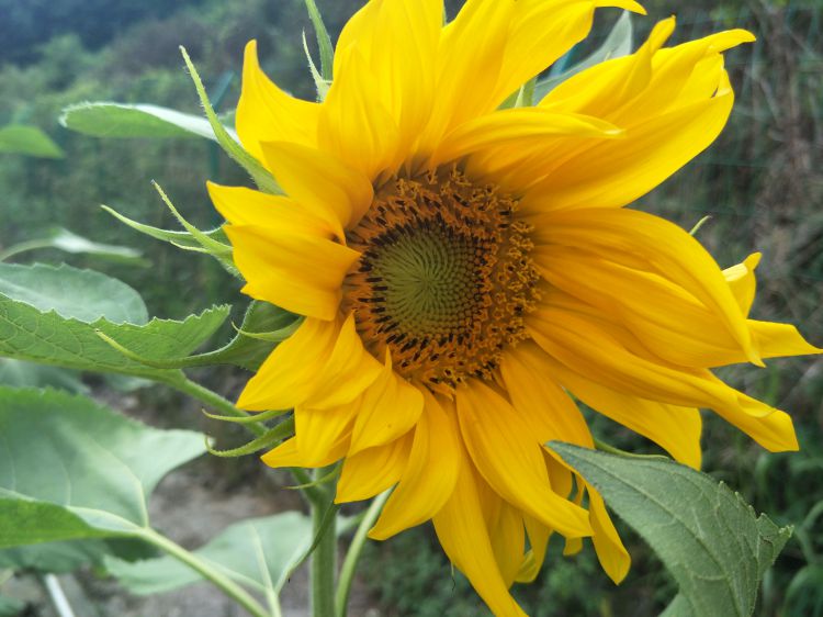 QQ图片20170610231835_jpg