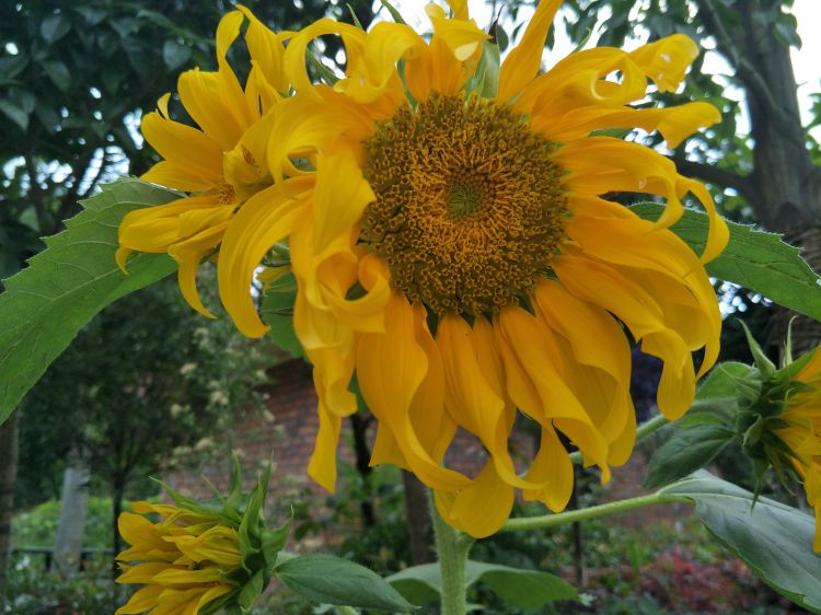 QQ图片20170610231855_jpg