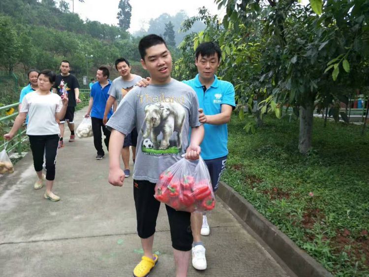 QQ图片20170610213112_jpg