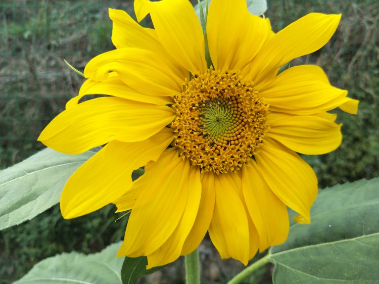 QQ图片20170610231842_jpg