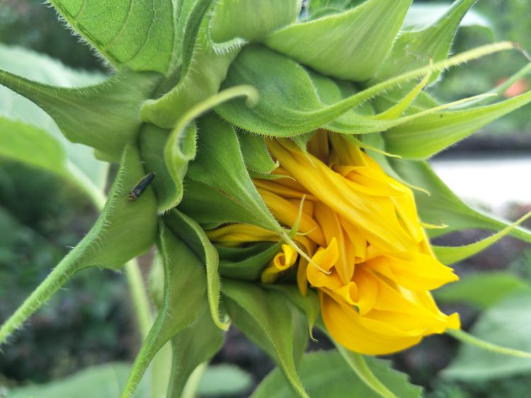 QQ图片20170610231851_jpg