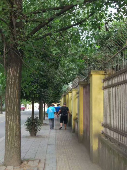 QQ图片20170624154403_jpg