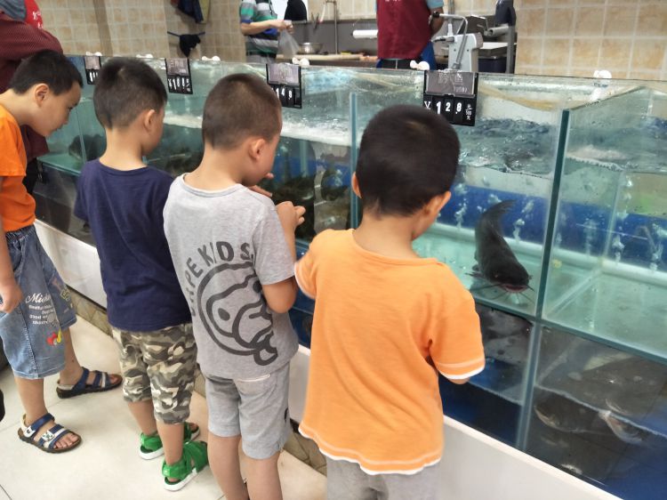 QQ图片20170624190116_jpg