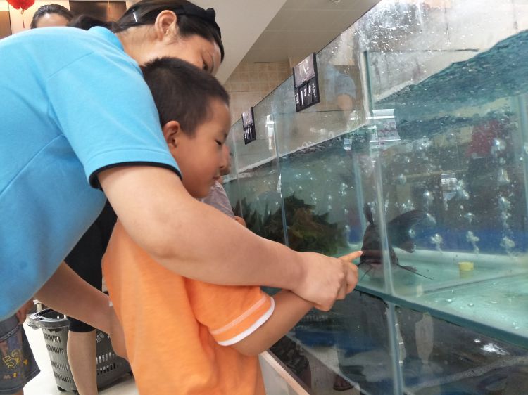 QQ图片20170624190132_jpg