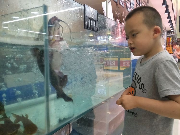 QQ图片20170624190140_jpg