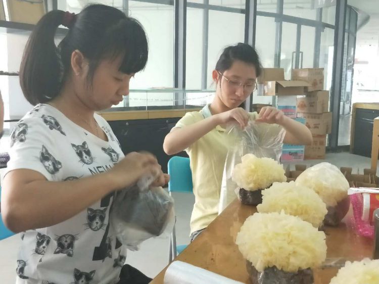 微信图片_20170921093433_jpg 微信图片_20170921093433_jpg