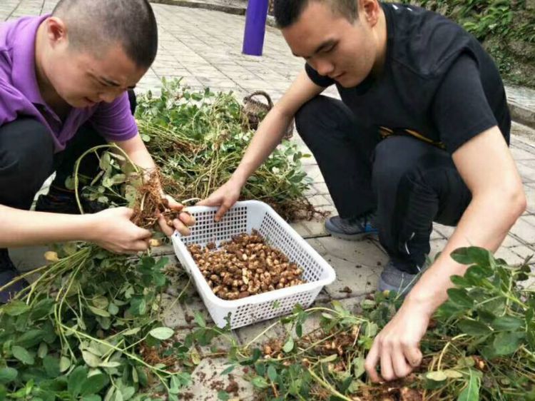 微信图片_20171001224752_jpg