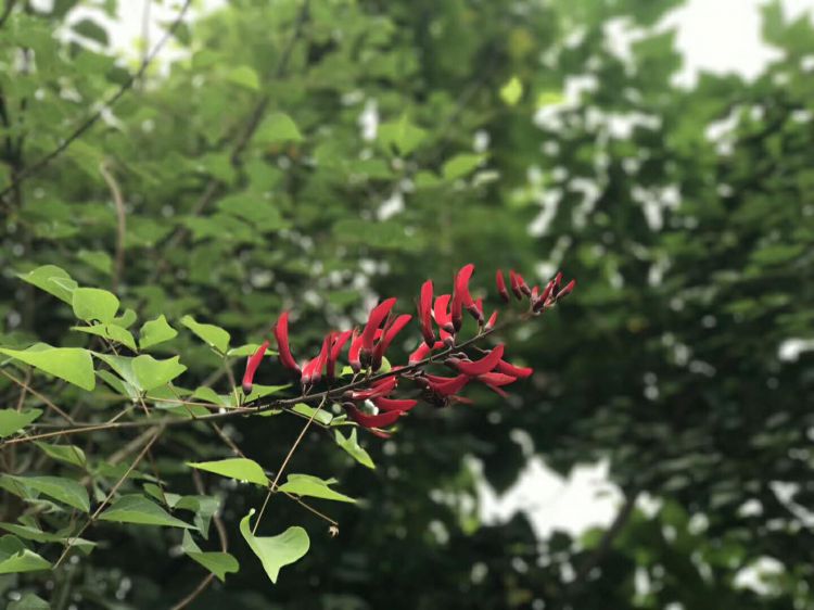 微信图片_20171001214952_jpg 微信图片_20171001214952_jpg