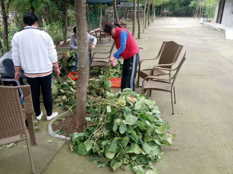 微信图片_20171014203544_jpg 微信图片_20171014203544_jpg