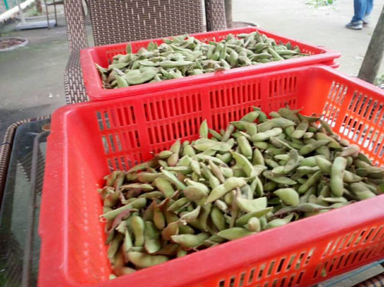 微信图片_20171014203552_jpg