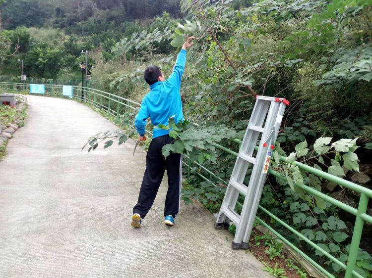 微信图片_20171021204423_jpg