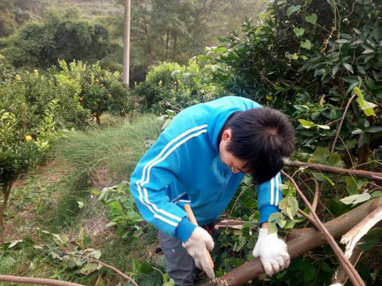 微信图片_20171112154605_jpg