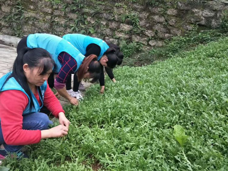 微信图片_20171112154721_jpg