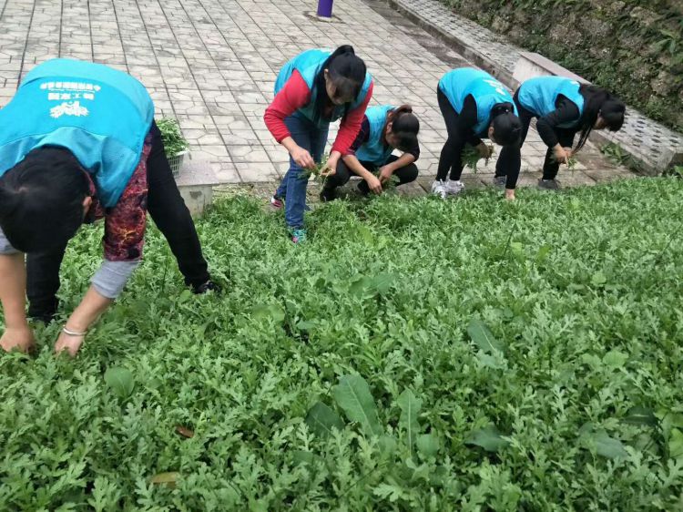 微信图片_20171112154725_jpg