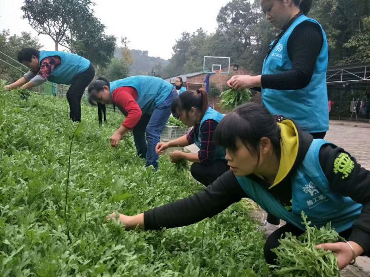 微信图片_20171112154735_jpg