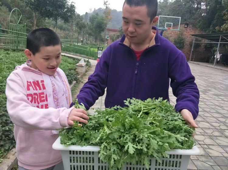 微信图片_20171112154739_jpg